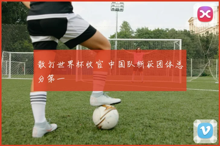 散打世界杯收官 中国队斩获团体总分第一