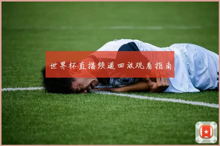 世界杯直播频道回放观看指南