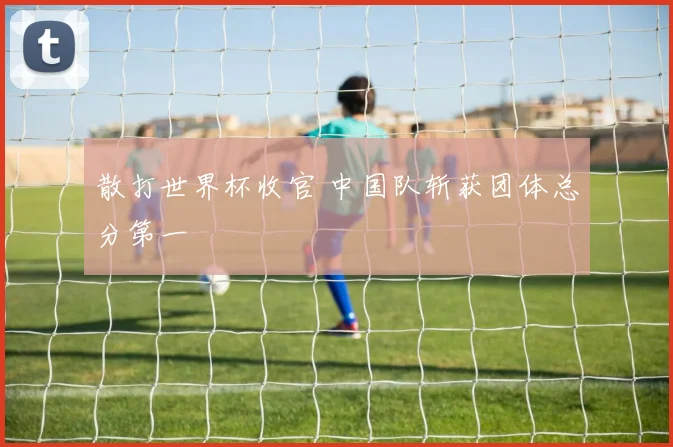散打世界杯收官 中国队斩获团体总分第一