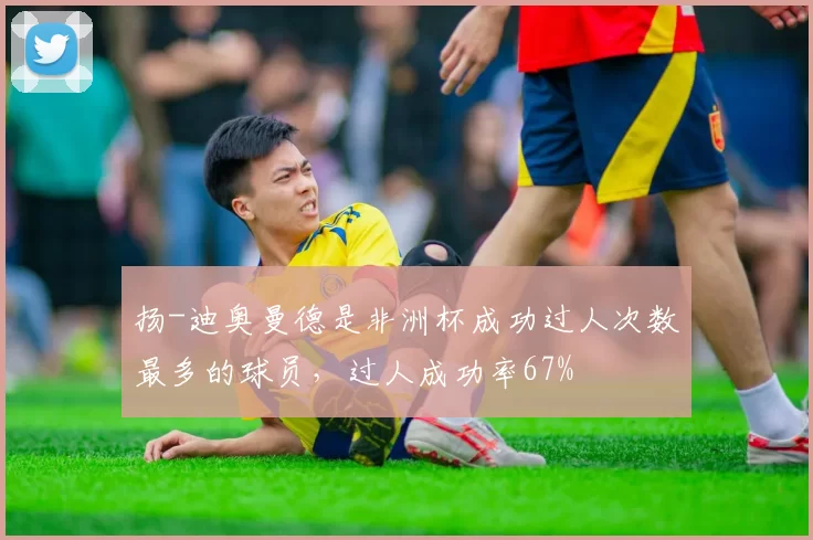 扬-迪奥曼德是非洲杯成功过人次数最多的球员，过人成功率67%