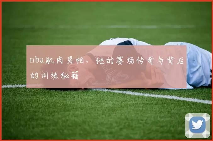 nba肌肉男帕，他的赛场传奇与背后的训练秘籍